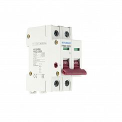 Выключатель нагрузки HSD100S 2PDSS0000C 00063 2 полюса 63А (STANDARD)