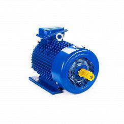 Электродвигатель 5MTKH 225 М8 30/750 IM1003