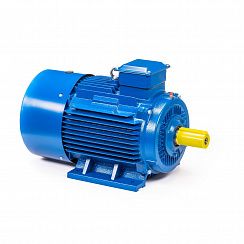 Электродвигатель 5АИ 225 М4 55/1500 IM1001