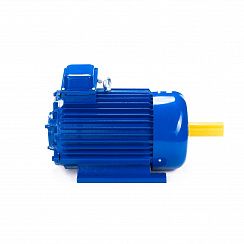 Электродвигатель 5МТКН 011-6 1,4/1000 IM1001