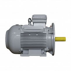 Электродвигатель ESQ PR 160 M4-SDN-Б1-S12-IE2 11/1500 IMB35