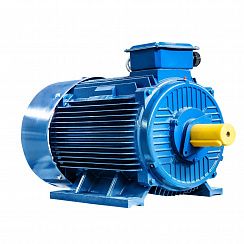 Электродвигатель 5АИ 315 М4 200/1500 IM1001