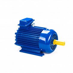 Электродвигатель 5МТКН 111-6 3,5/1000 IM1001