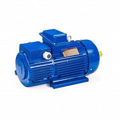 Электродвигатель 5МТН 225 L8 37/750 IM1003