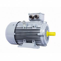 Электродвигатель ESQ PR 160 M4-SDN-Б1-S12-IE2 11/1500 IMB3