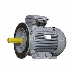 Электродвигатель ESQ PR 160 M4-SDN-Б1-S12-IE2 11/1500 IMB35