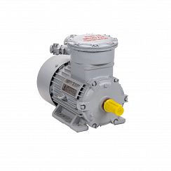 Электродвигатель АИМУР 112 МА6 У2,5 660/1140В, класс изоляции H, PBExdI Mb, 3/1000 IM1081
