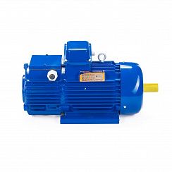 Электродвигатель 5MTH 711-10 110/600 IM1003