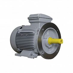 Электродвигатель ESQ PR 160 L6-SDN-Б1-S12-IE2 11/1000 IMB35
