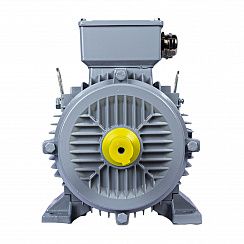 Электродвигатель ESQ PR 160 M4-SDN-Б1-S12-IE3 11/1500 IMB3