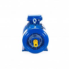 Электродвигатель 5MTКH 200 LB8 22/750 IM1003
