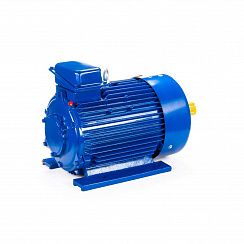 Электродвигатель 5МТКН 225 L6 55/1000 IM1003