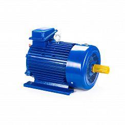 Электродвигатель 5МТКН 311-8 7,5/750 IM1001